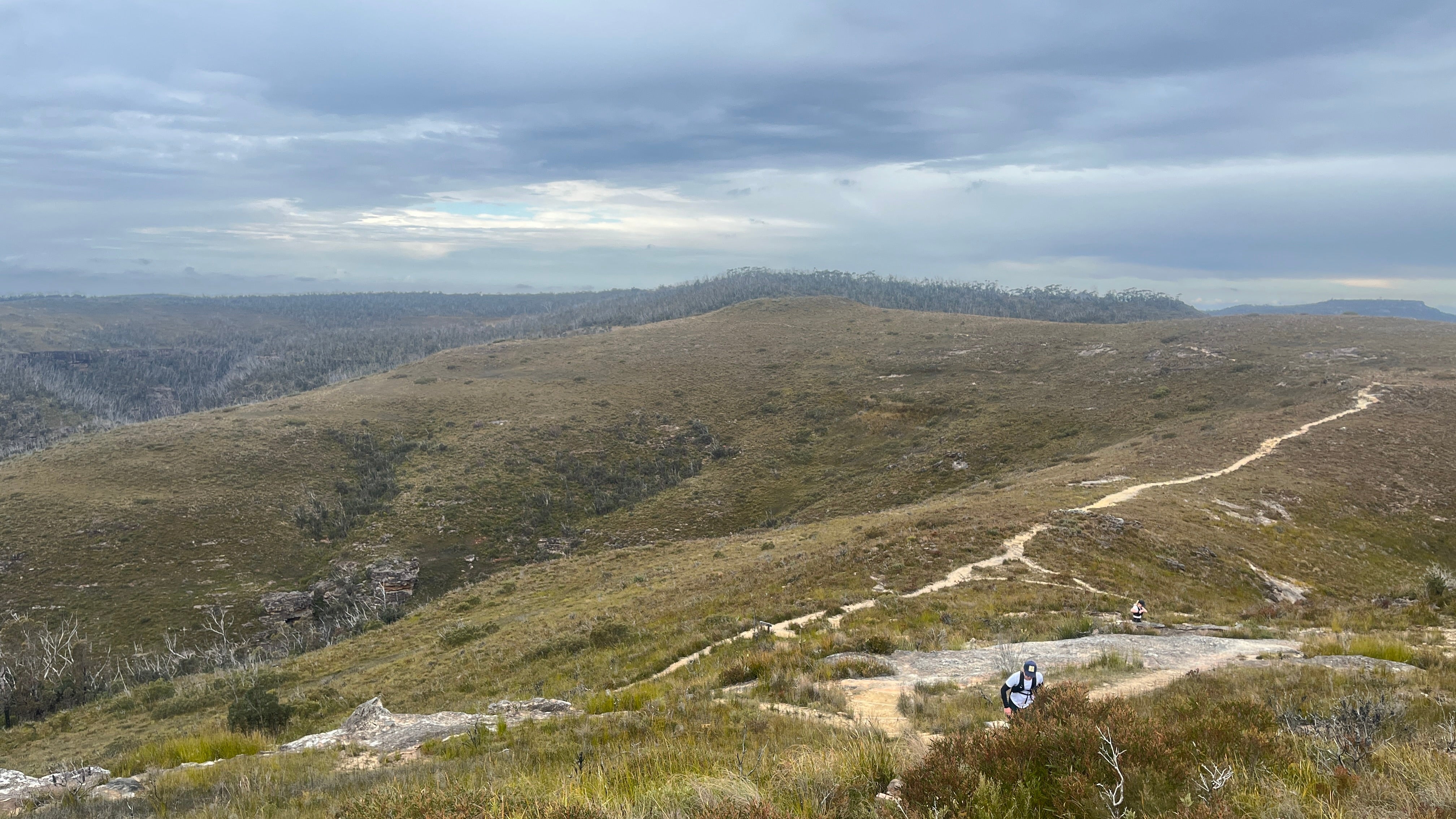 Blue Mountains - or is that too obvious