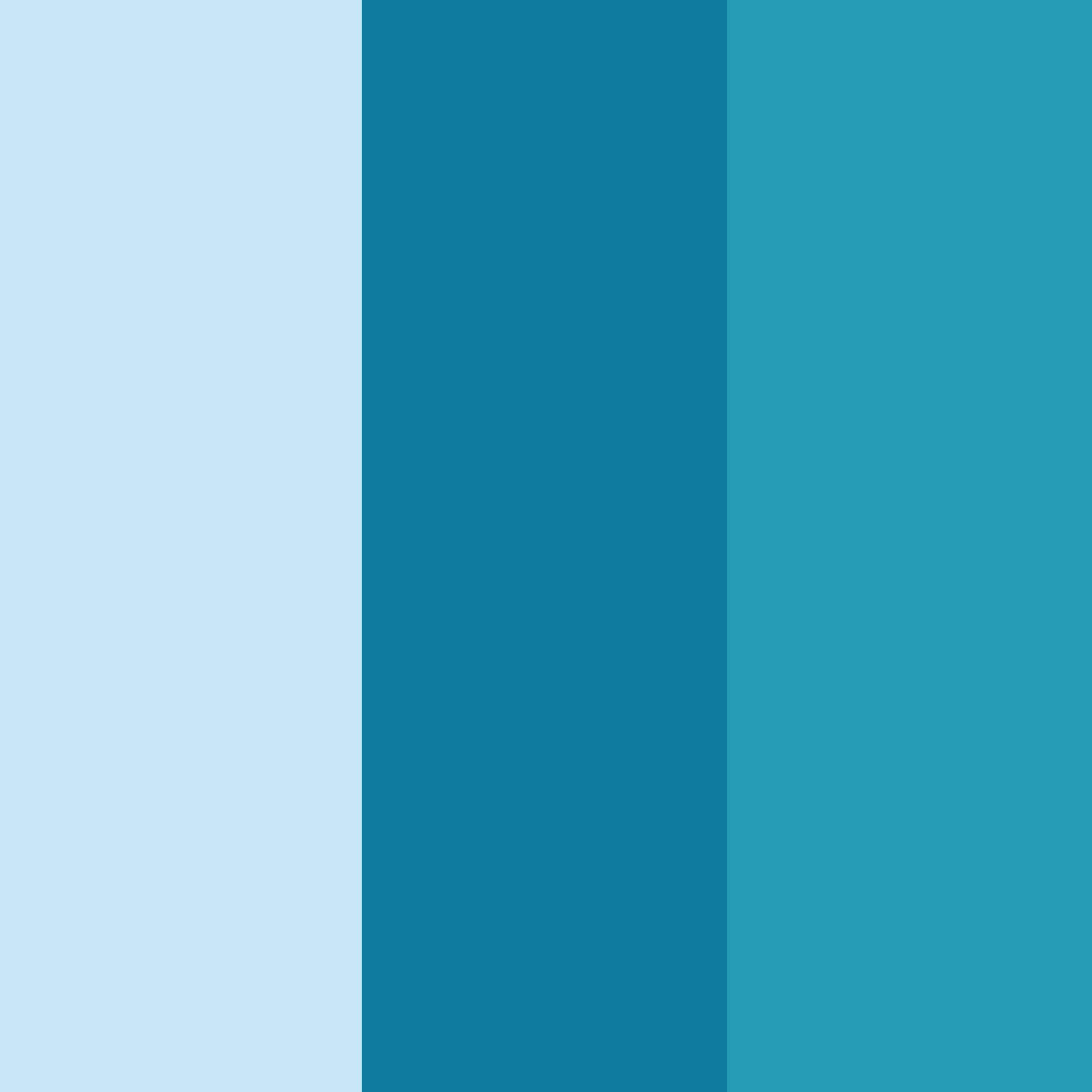Colour Block Pre-Template – Catfish Designs