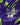 Ignite Endurance